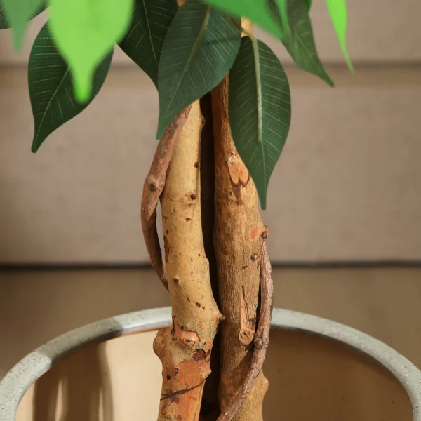 Artificial Ficus Trees with Natural Curved Trunks, Silk Fake Ficus Tree in Plastic Nursery Pot for Office Home Decor - Image 5