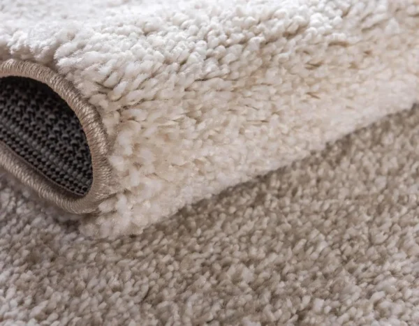 Solo Collection Area Rug - Calabasas (10' x 13' Rectangle, Ivory) - Image 5